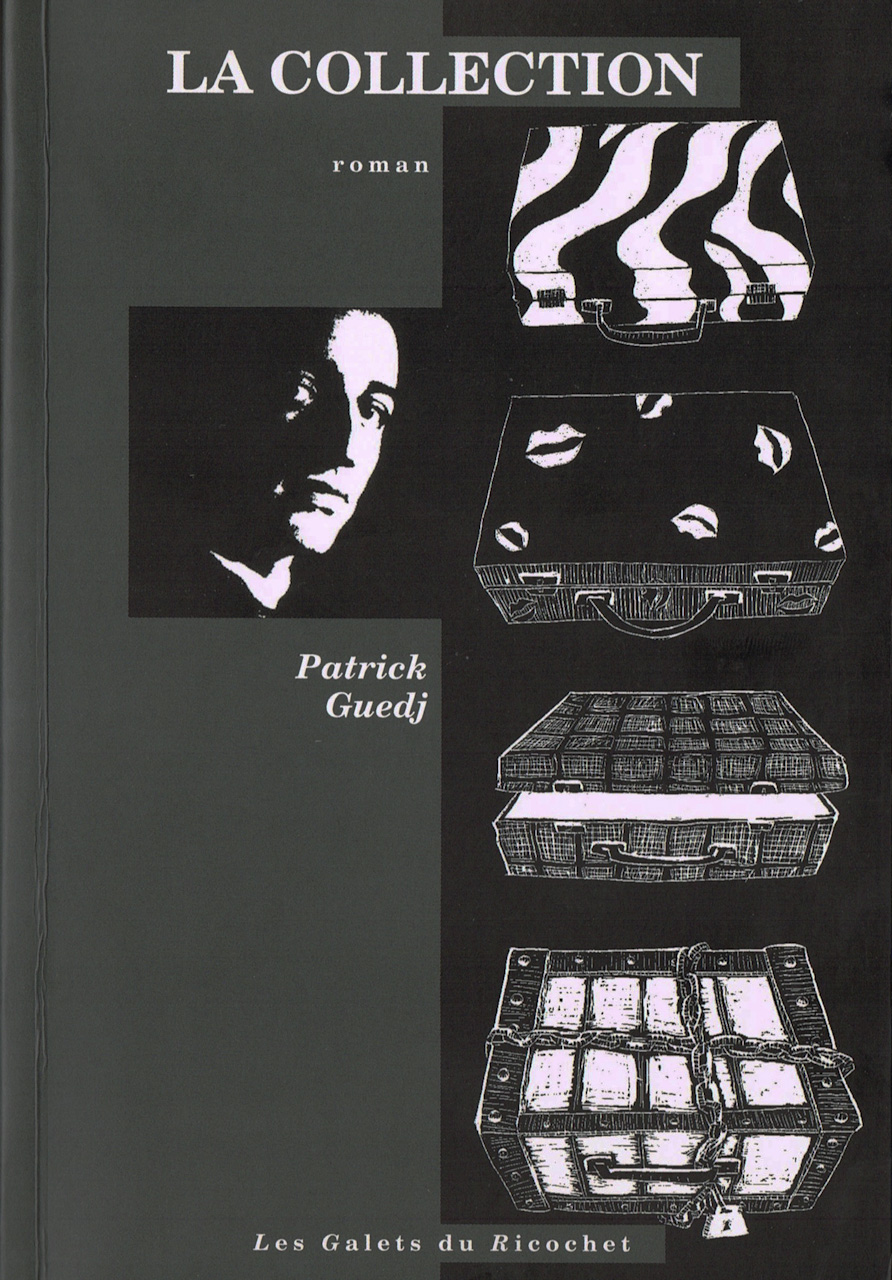 La collection, roman de Patrick Guedj