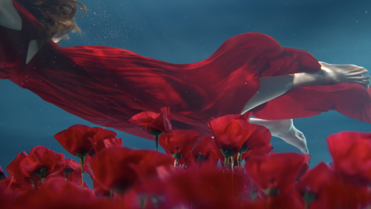 Flower by Kenzo Paris La Seine